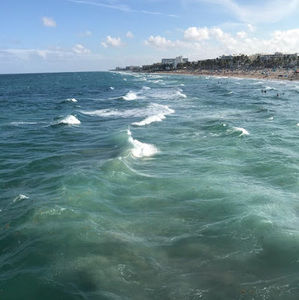 Meet your Posher, Adriana